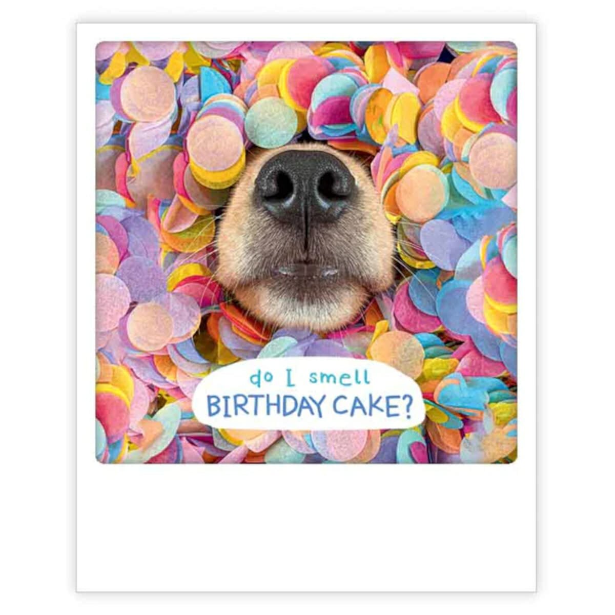 PICKMOTION postikortti, Do I Smell Birthday Cake