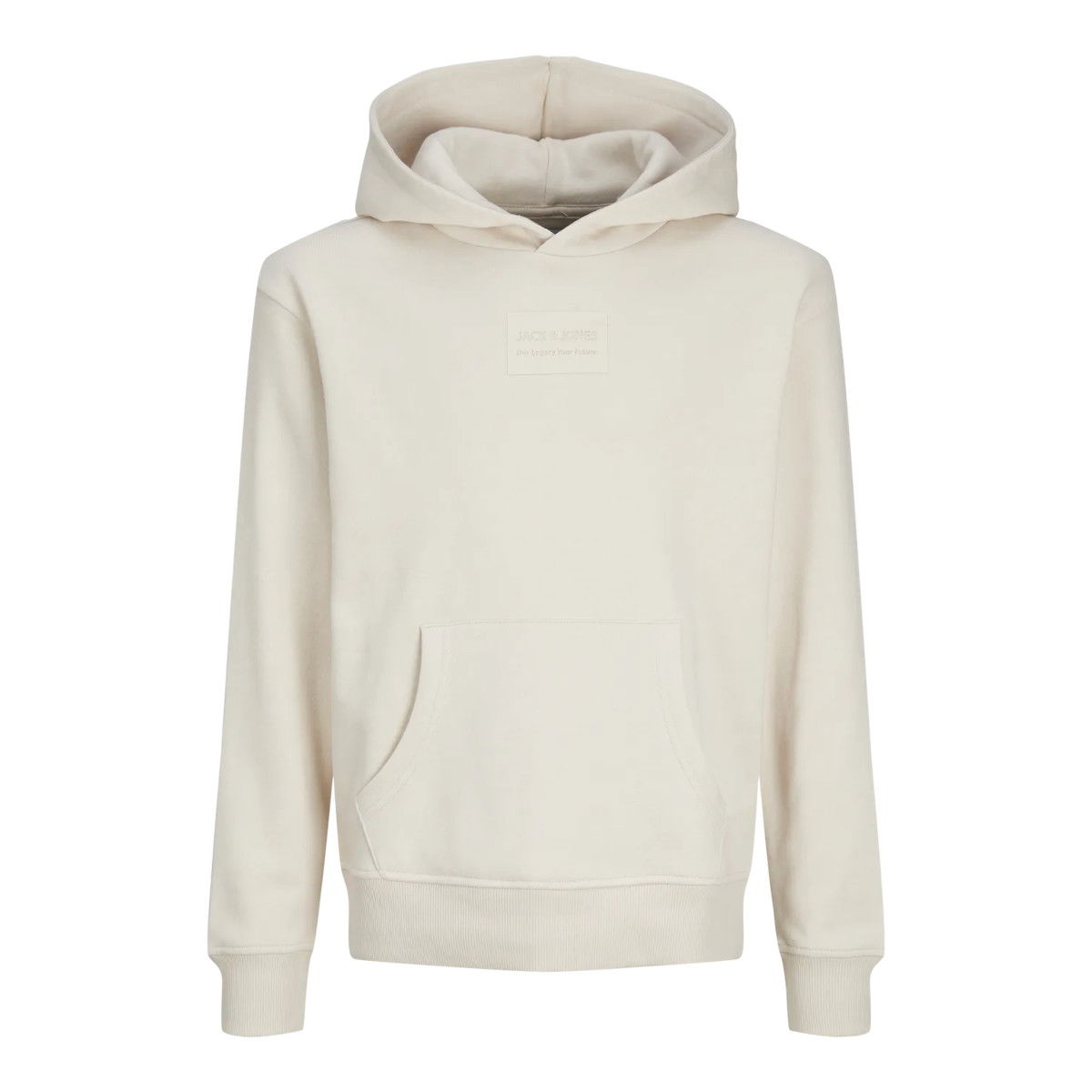 JACK & JONES JJHAKKAI collegehuppari, Moonbeam